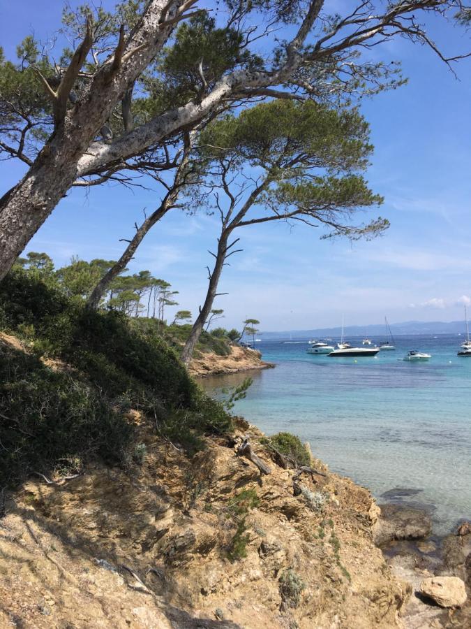 Large Private Garden, Quiet 2-Bedroom Apartment, Air Conditioning, Wifi, Parking Cassis Eksteriør billede