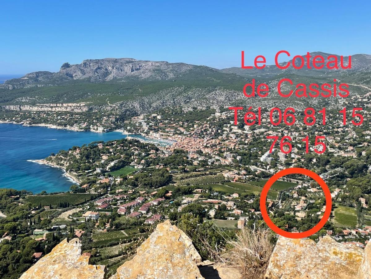 Large Private Garden, Quiet 2-Bedroom Apartment, Air Conditioning, Wifi, Parking Cassis Eksteriør billede