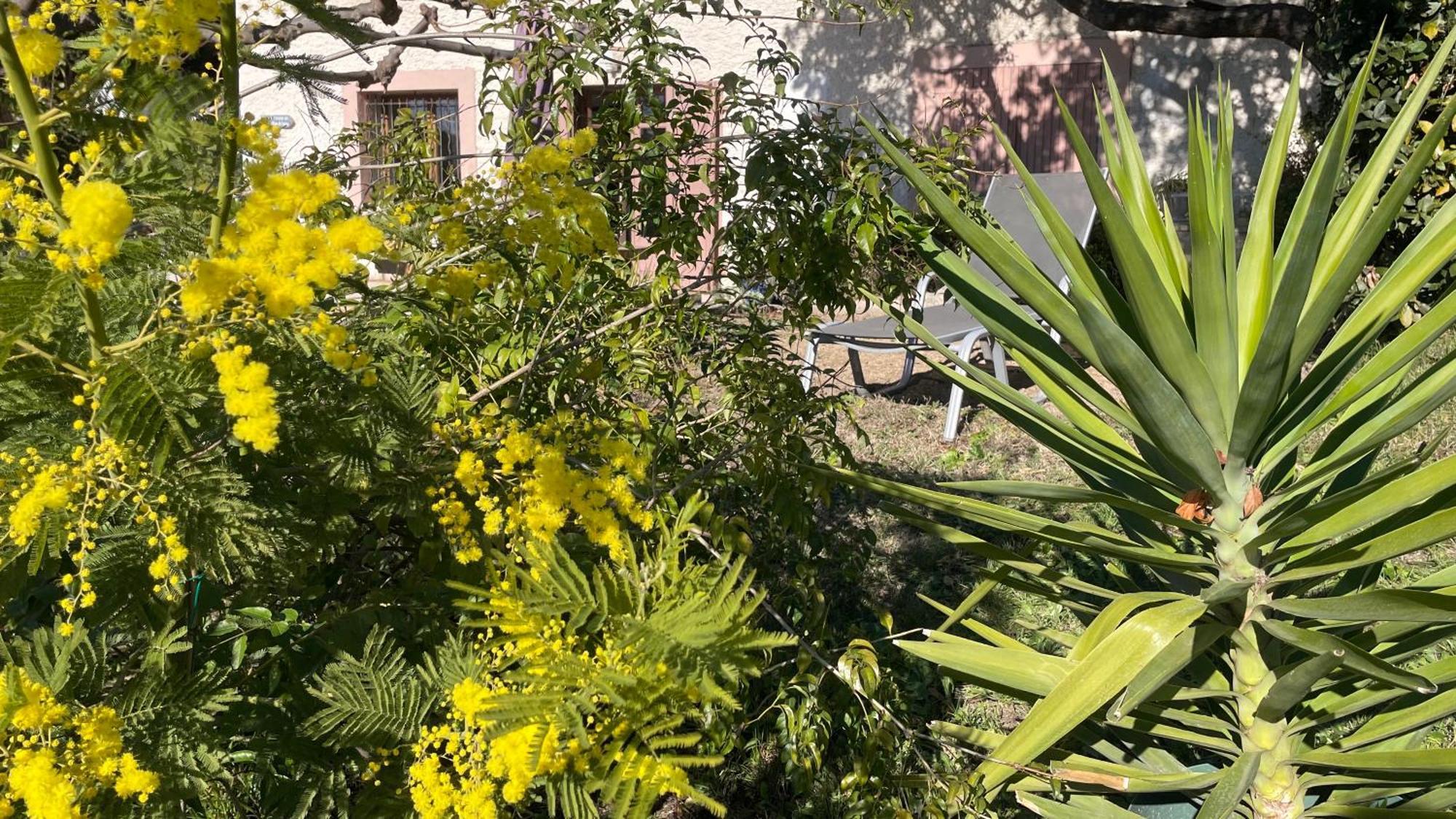 Large Private Garden, Quiet 2-Bedroom Apartment, Air Conditioning, Wifi, Parking Cassis Eksteriør billede